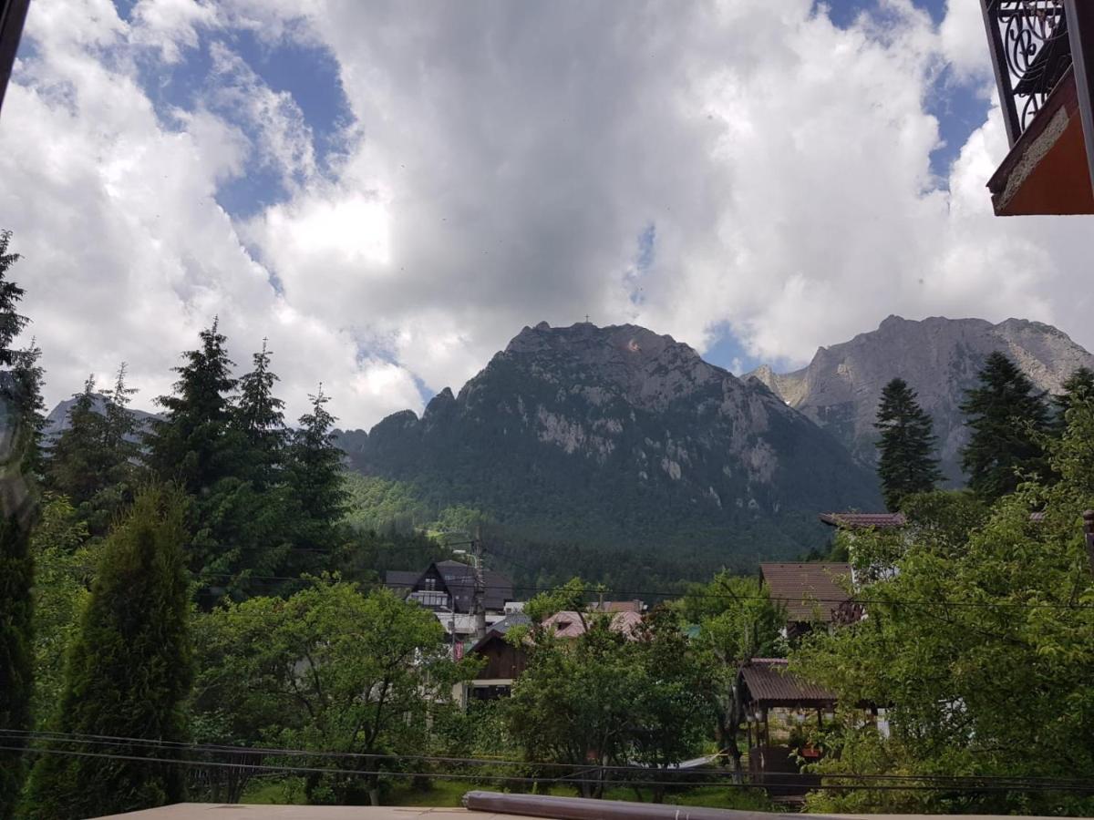 Hotel Iri Busteni Bagian luar foto
